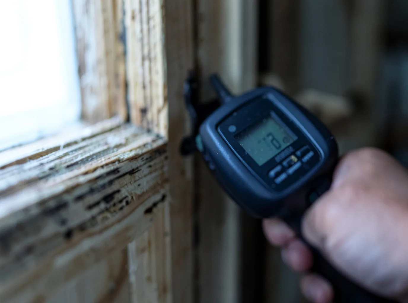 Water Damage Restoration Sequoia National Park, CA FAQs